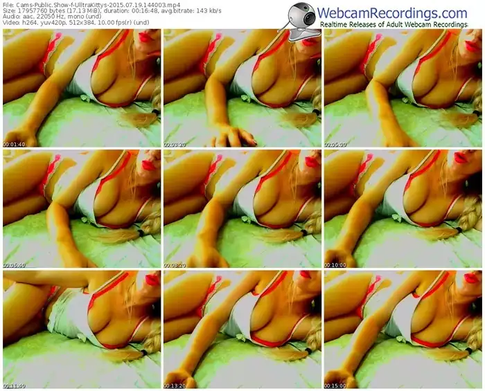 cams-ulltrakittys-public-show-07_19_2015-14_40_03