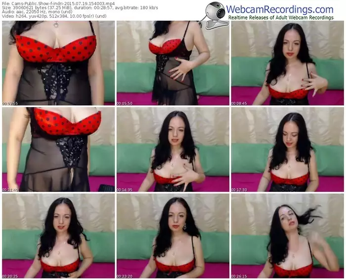 cams-indri-public-show-07_19_2015-15_40_03