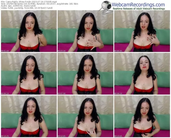 cams-indri-public-show-07_19_2015-17_00_05