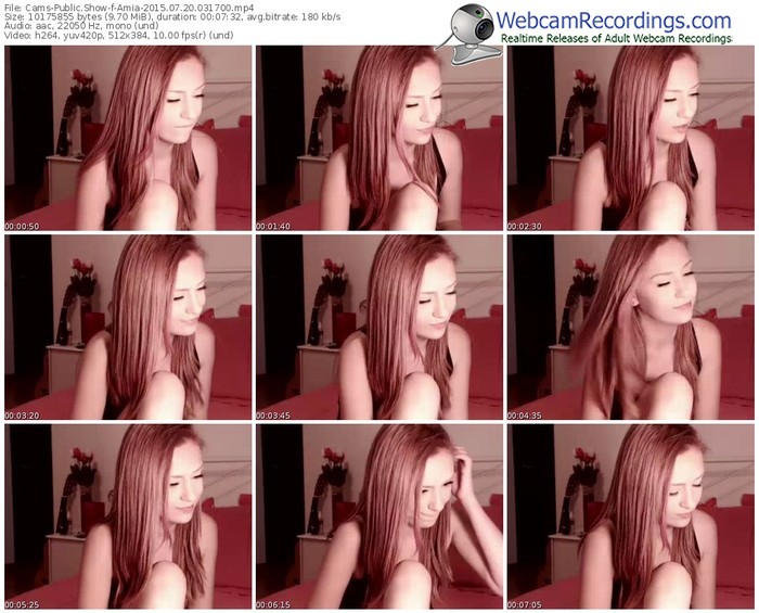 cams-amia-public-show-07_20_2015-03_17_00