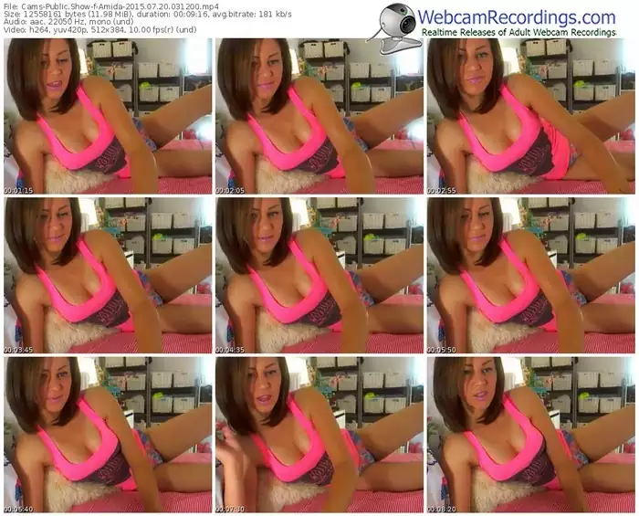 cams-amida-public-show-07_20_2015-03_12_00