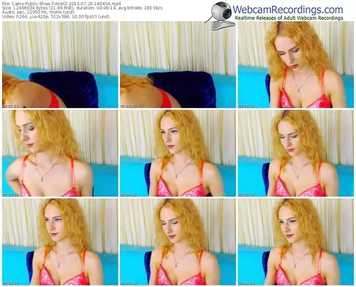 cams-arielz-public-show-07_20_2015-14_04_54