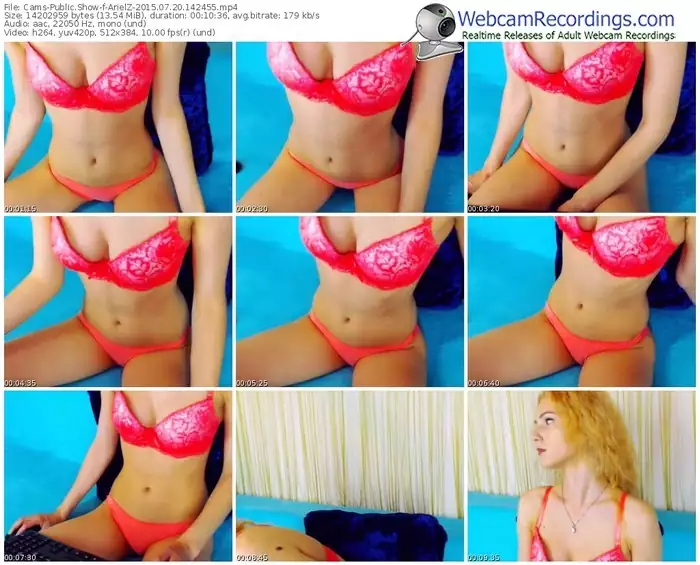 cams-arielz-public-show-07_20_2015-14_24_55