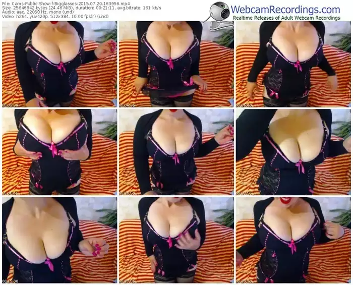 cams-bigglasses-public-show-07_20_2015-16_39_56