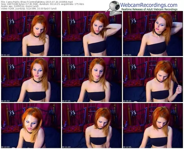 cams-controllabletoy-public-show-07_20_2015-19_39_59