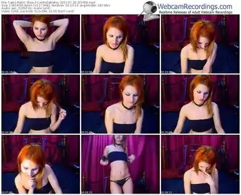 cams-controllabletoy-public-show-07_20_2015-20_34_59