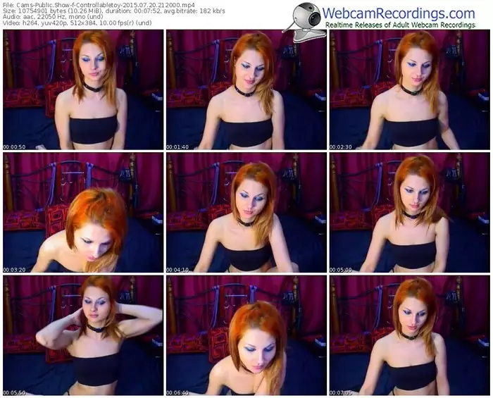 cams-controllabletoy-public-show-07_20_2015-21_20_00