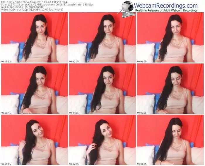 cams-irga-public-show-07_20_2015-13_19_53