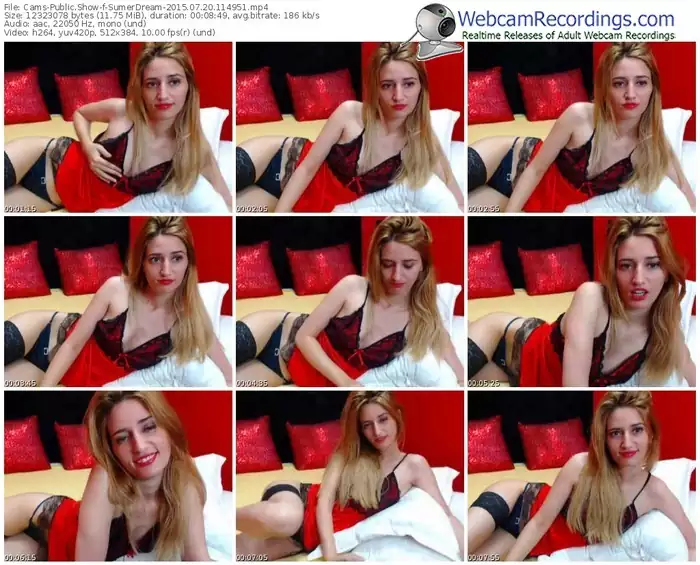 cams-sumerdream-public-show-07_20_2015-11_49_51