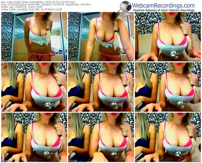 cams-ulltrakittys-public-show-07_20_2015-11_19_50