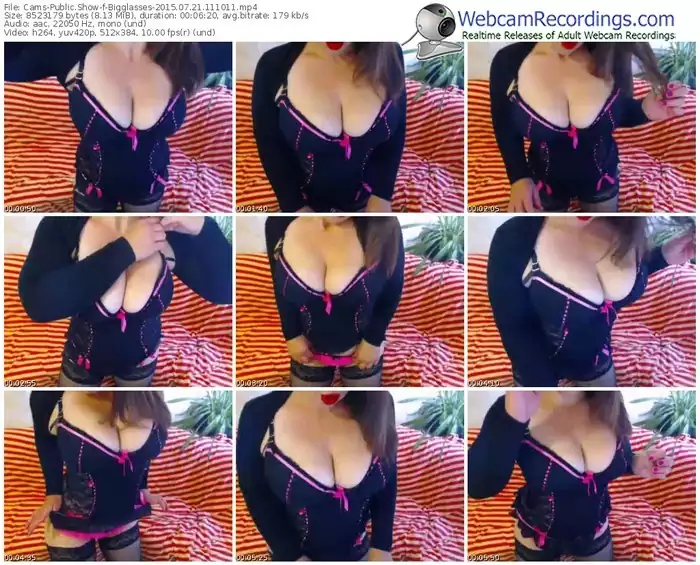 cams-bigglasses-public-show-07_21_2015-11_10_11