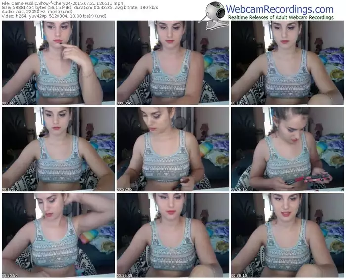 cams-chery24-public-show-07_21_2015-12_05_11