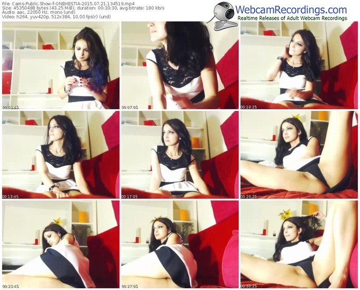 cams-onehestia-public-show-07_21_2015-13_45_19