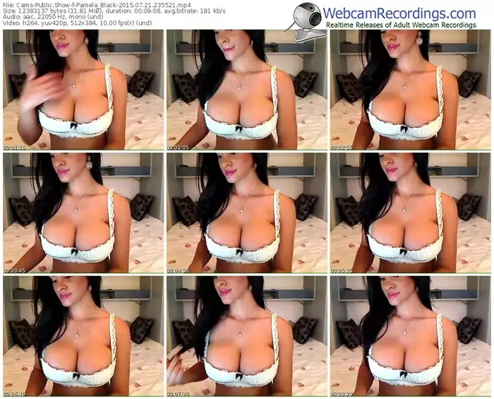 cams-pamela_black-public-show-07_21_2015-23_55_21