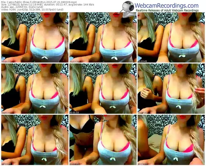 cams-ulltrakittys-public-show-07_21_2015-09_00_09