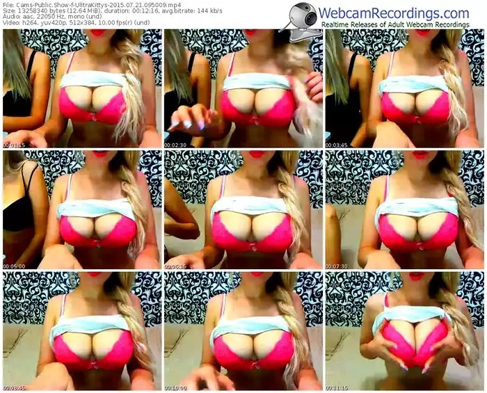 cams-ulltrakittys-public-show-07_21_2015-09_50_09