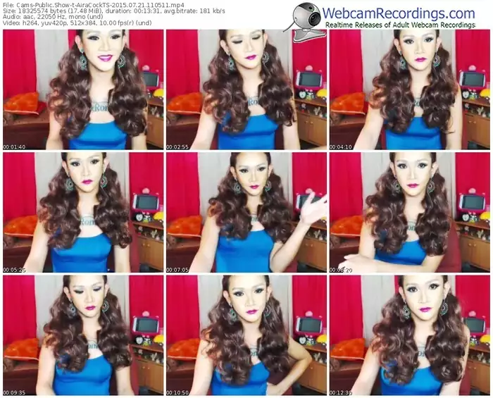 cams-airacockts-public-show-07_21_2015-11_05_11