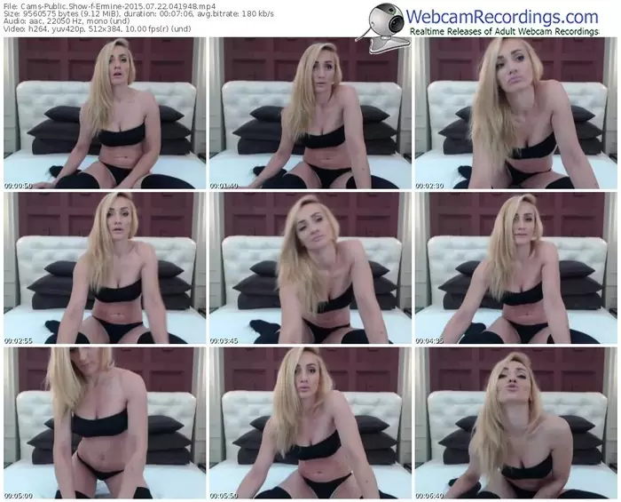 cams-ermine-public-show-07_22_2015-04_19_48