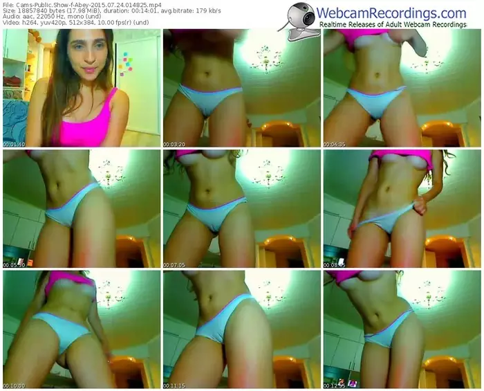 cams-abey-public-show-07_24_2015-01_48_25