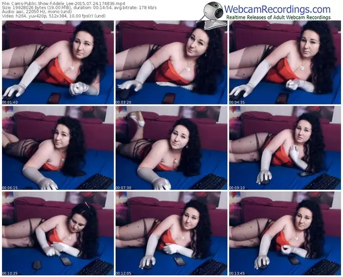 cams-adele_lee-public-show-07_24_2015-17_48_39