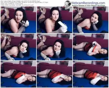 cams-adele_lee-public-show-07_24_2015-18_48_40