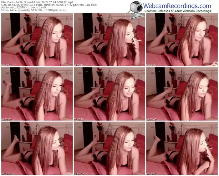 cams-amia-public-show-07_24_2015-00_08_22