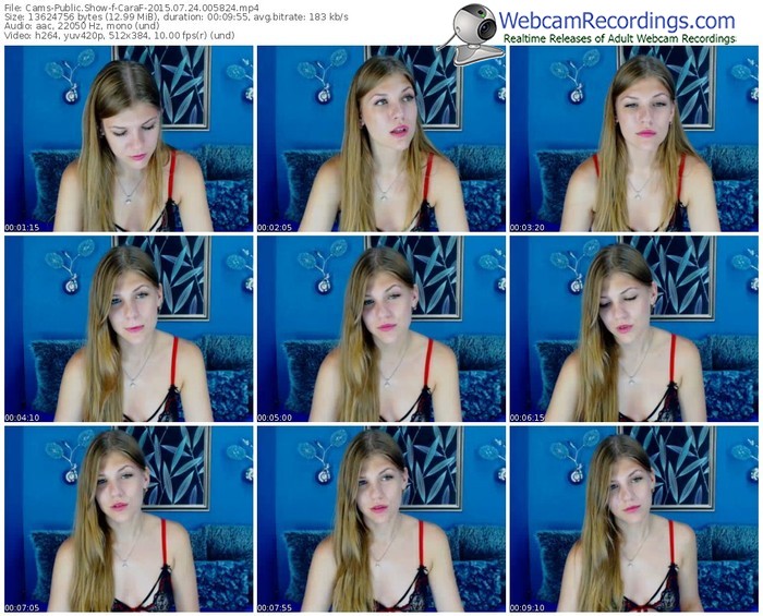 cams-caraf-public-show-07_24_2015-00_58_24