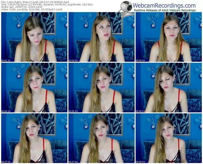 cams-caraf-public-show-07_24_2015-00_58_24