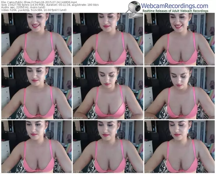 cams-chery24-public-show-07_24_2015-14_48_36