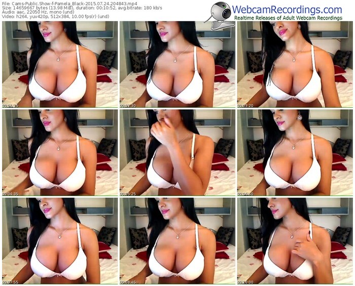 cams-pamela_black-public-show-07_24_2015-20_48_43