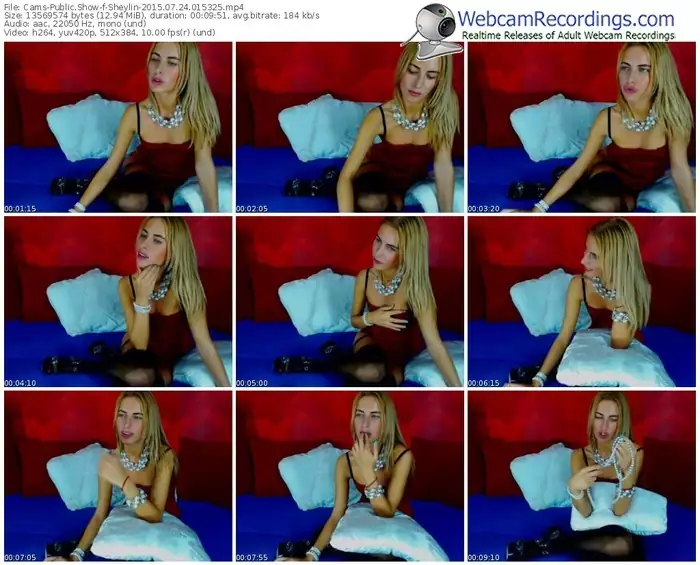 cams-sheylin-public-show-07_24_2015-01_53_25