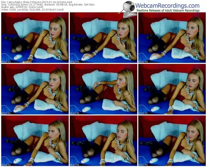 cams-sheylin-public-show-07_24_2015-02_33_24