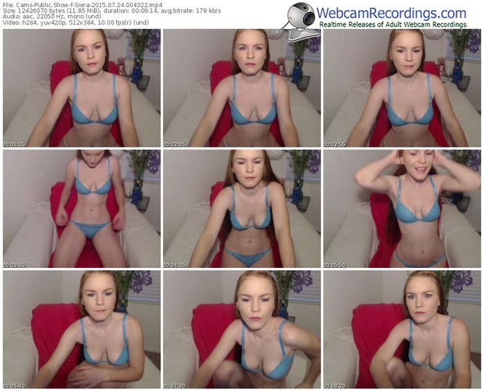 cams-siera-public-show-07_24_2015-00_43_22