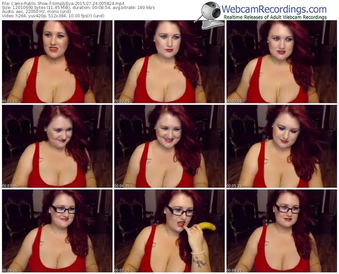 cams-simplyeva-public-show-07_24_2015-00_58_24