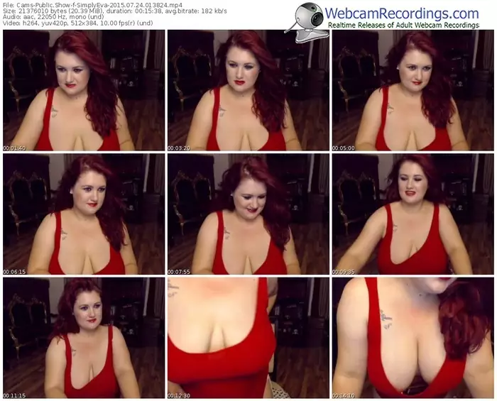 cams-simplyeva-public-show-07_24_2015-01_38_24