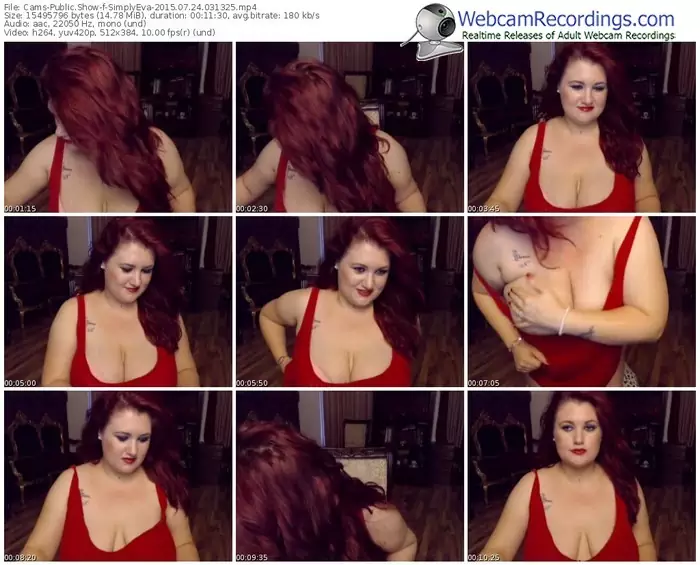 cams-simplyeva-public-show-07_24_2015-03_13_25