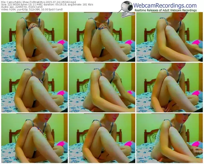 cams-ulltrakittys-public-show-07_24_2015-19_53_42