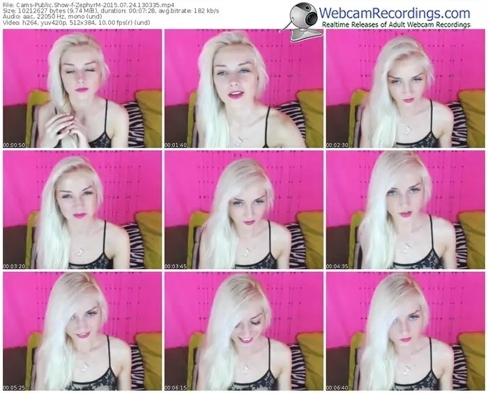 cams-zephyrm-public-show-07_24_2015-13_03_35