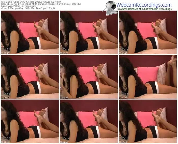 cams-alecsa-public-show-07_25_2015-10_47_27