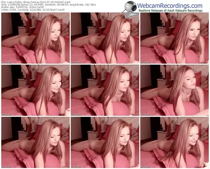 cams-amia-public-show-07_25_2015-00_43_47