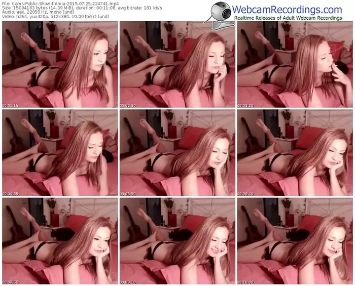 cams-amia-public-show-07_25_2015-22_47_41