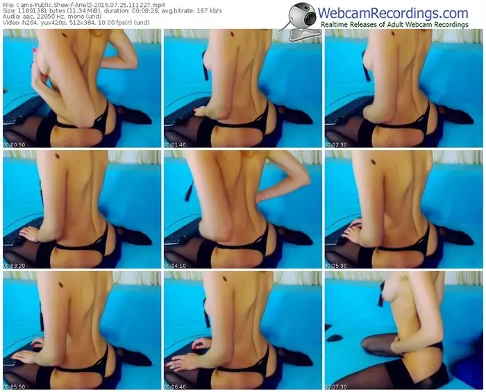 cams-arielz-public-show-07_25_2015-11_12_27