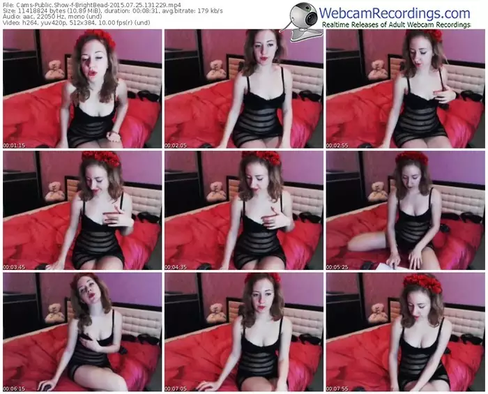 cams-brightbead-public-show-07_25_2015-13_12_29