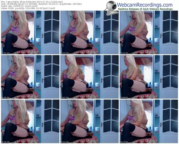 cams-dalyah-public-show-07_25_2015-17_22_34