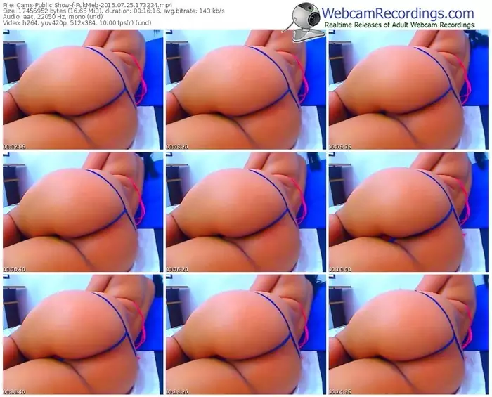 cams-fukmeb-public-show-07_25_2015-17_32_34