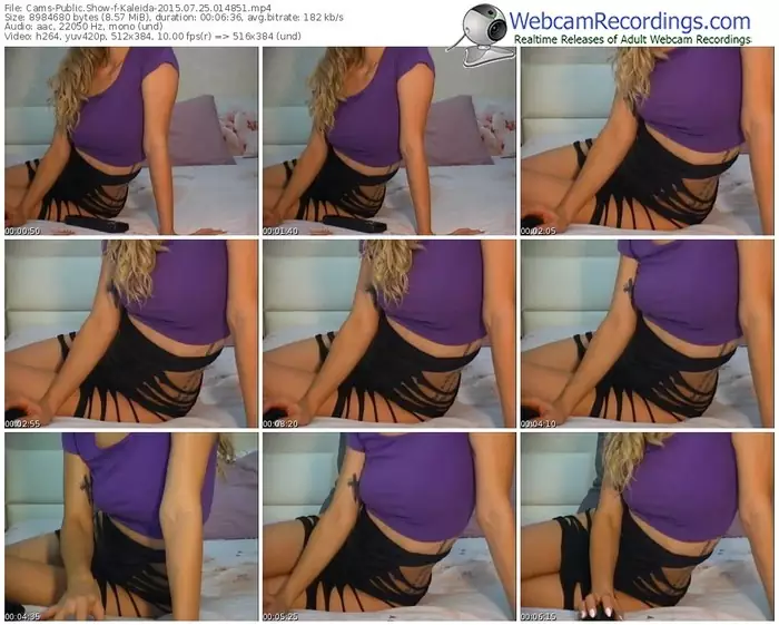 cams-kaleida-public-show-07_25_2015-01_48_51