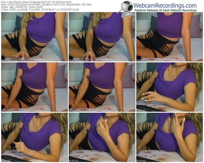 cams-kaleida-public-show-07_25_2015-02_03_49