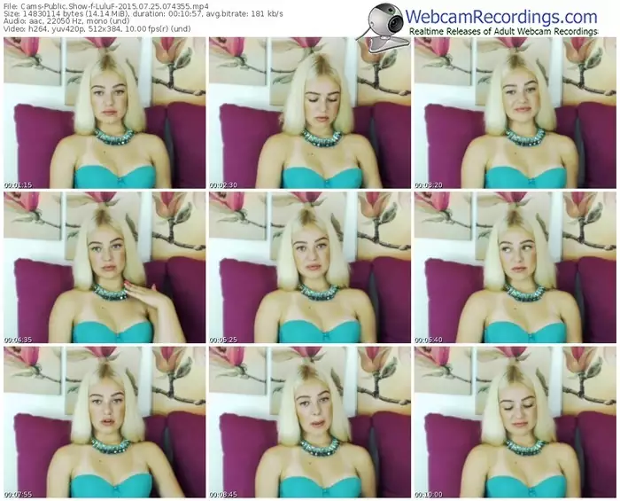 cams-luluf-public-show-07_25_2015-07_43_55