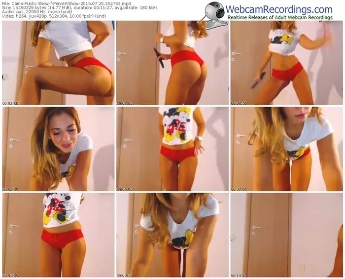 cams-pervertshow-public-show-07_25_2015-16_27_33