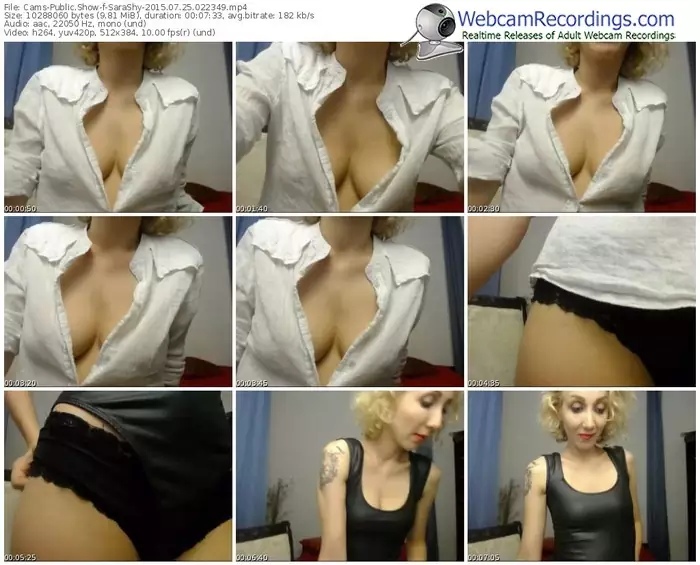 cams-sarashy-public-show-07_25_2015-02_23_49